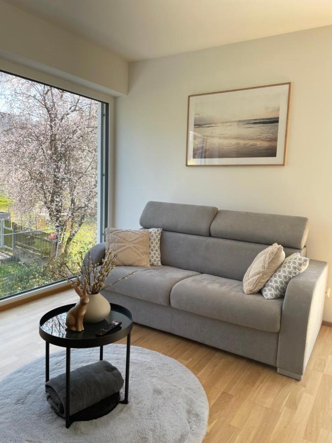 גמונדן Luxury - Apartment Mit Balkon In Seenaehe מראה חיצוני תמונה